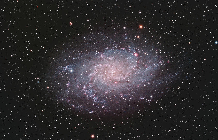 M33 Triangulum Galaxy 18.25 Hours Photograph by Astrophotography By Terry Hancock Used With Permission