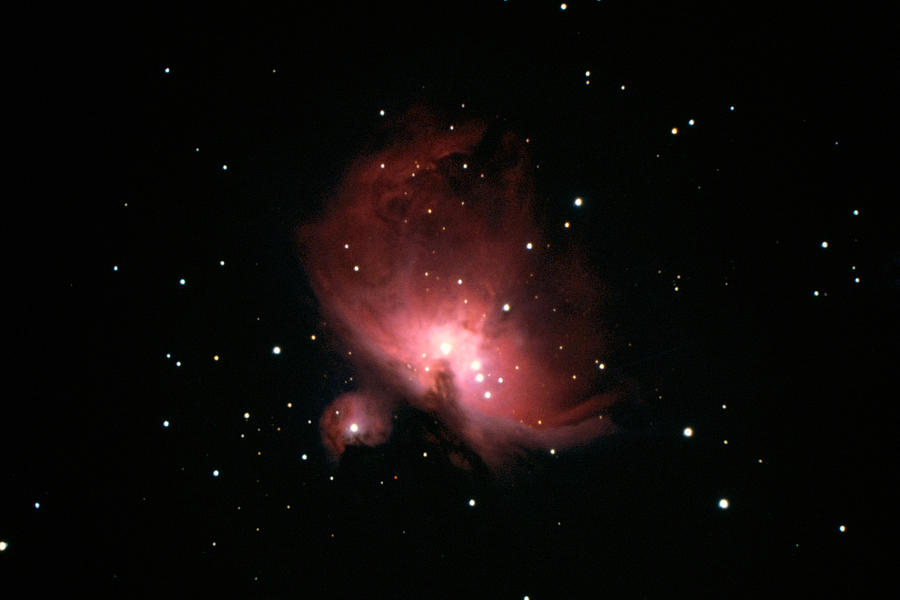 M42 Great Nebula In Orion Photograph by Tpuerzer