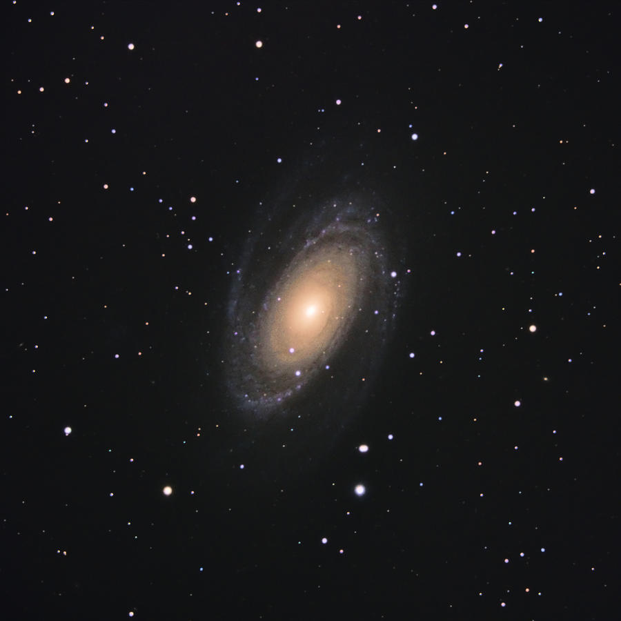 M81 - Bodes Galaxy Photograph by Joshua Bury Photography