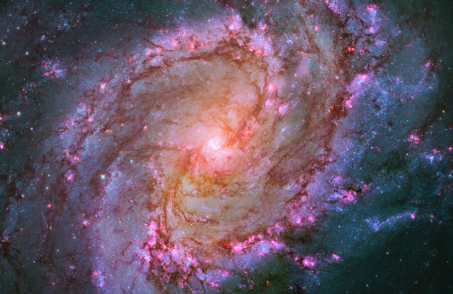 M83 Spiral Galaxy Photograph by Paul W Faust - Impressions of Light