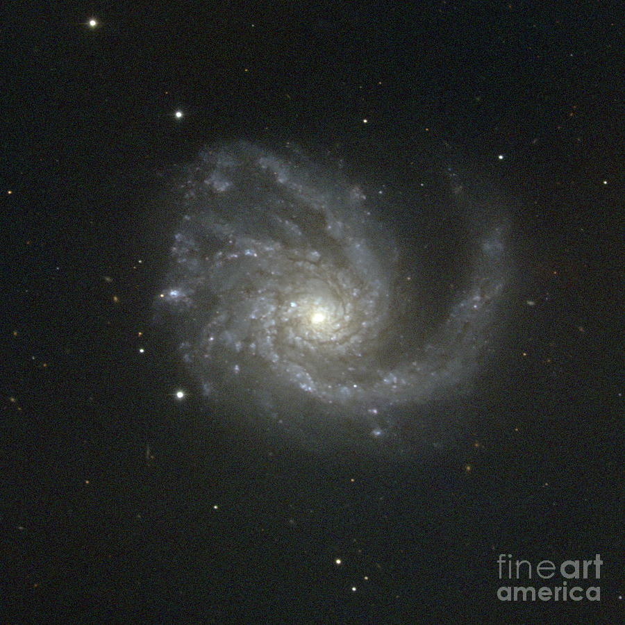 M99 Spiral Galaxy Photograph by National Optical Astronomy Observatories/science Photo Library