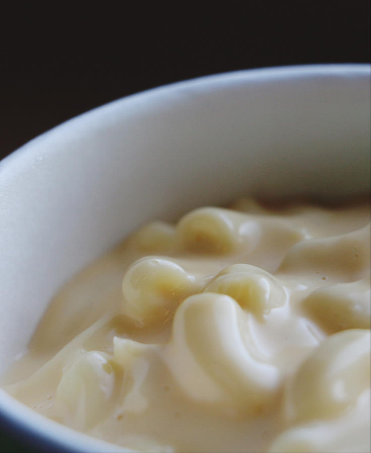Macaroni and Cheese Photograph by The Art Of Marilyn Ridoutt-Greene