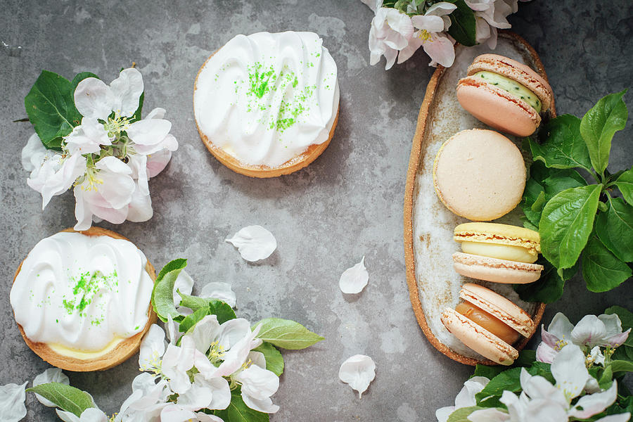 Macarons And Lemon Meringue Tartlers Photograph by Kate Prihodko