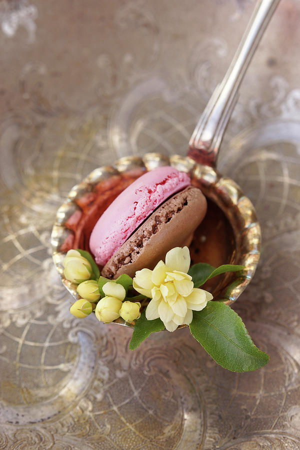 Macarons And Rose Buds Photograph by Angelica Linnhoff