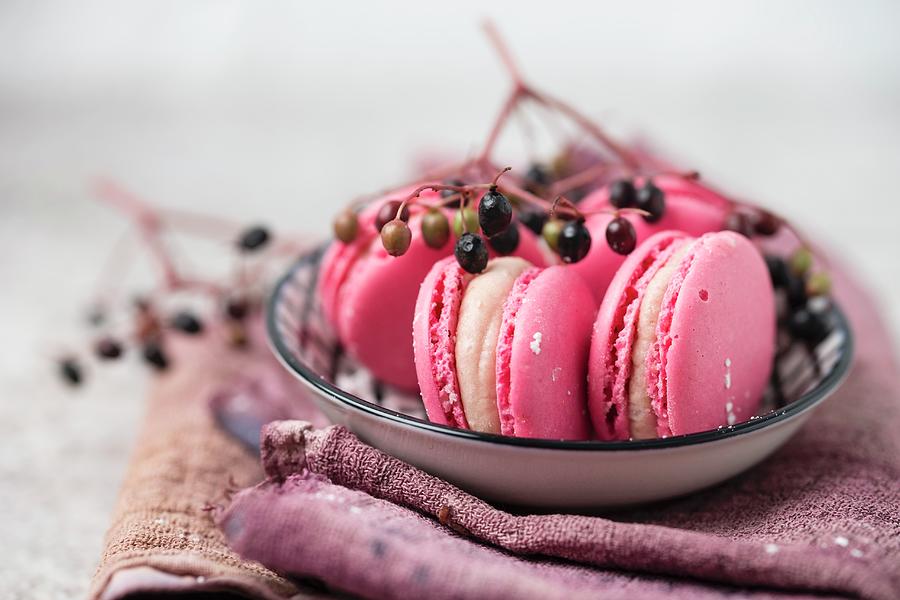 Macarons With An Elderberry Filling Photograph by Mandy Reschke
