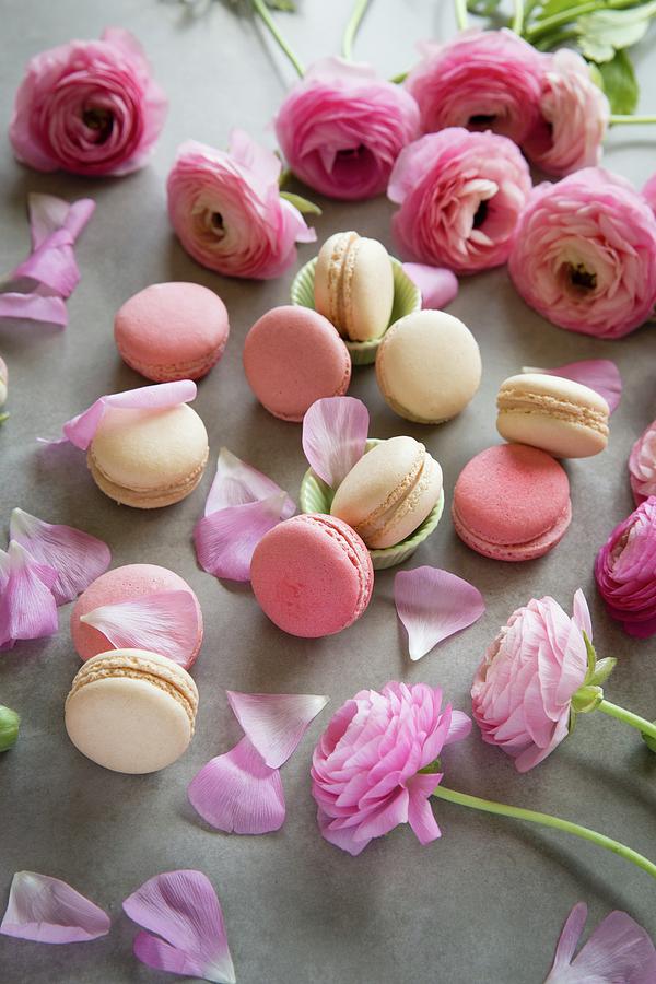 Macarons With Pink Roses Photograph by Joana Leito
