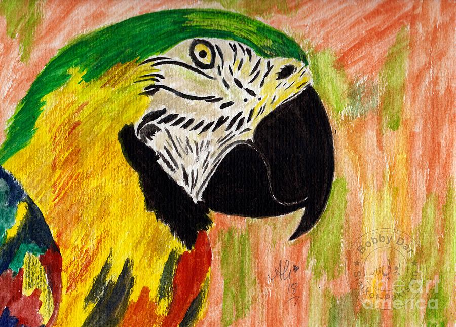 Bobby Dar Painting - Macaw by Bobby Dar