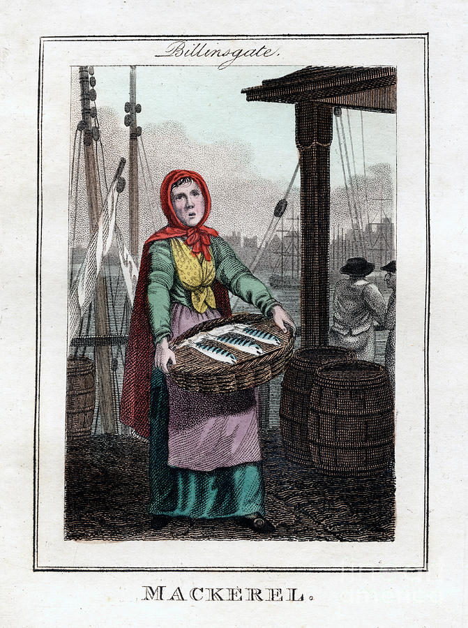 Mackerel, Billingsgate, London, 1805 Drawing by Print Collector