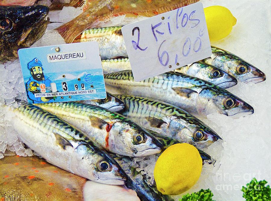 Mackerel On A Fish Counter Photograph by Martyn F. Chillmaid/science Photo Library