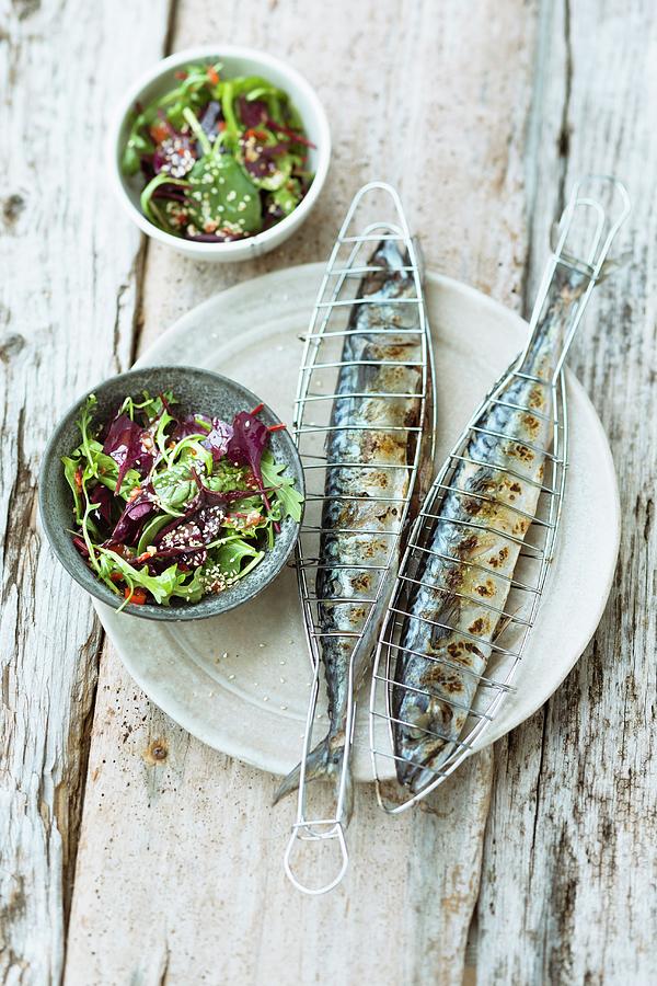 Mackerel With Baby Lettuce And An Oriental Vinaigrette Photograph by Jalag / Wolfgang Schardt