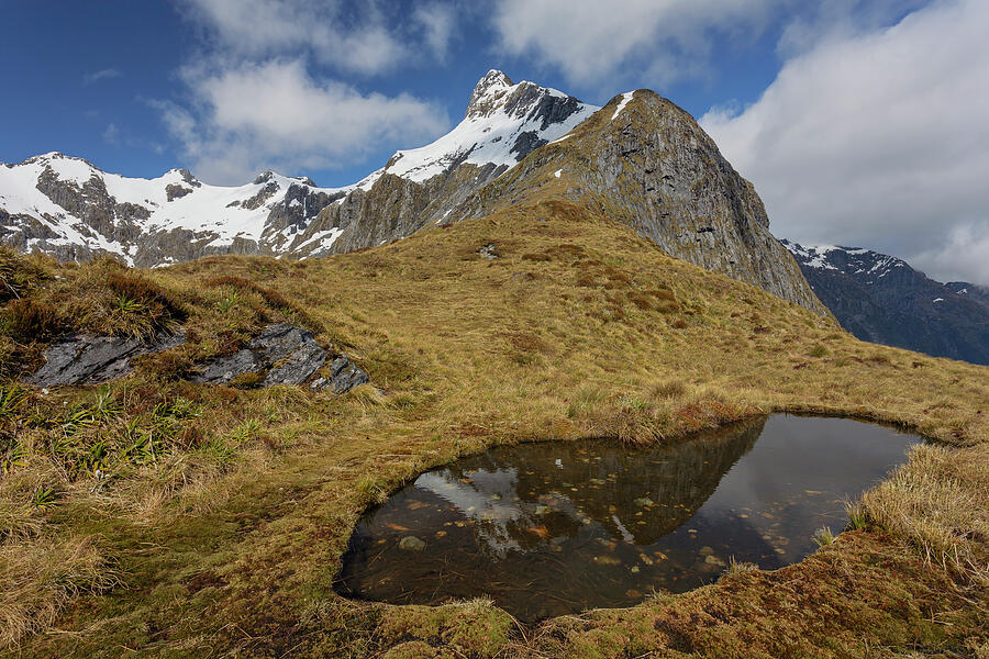 Mackinnon Pass, The Highest Point Of The Milford Track Photograph by ...