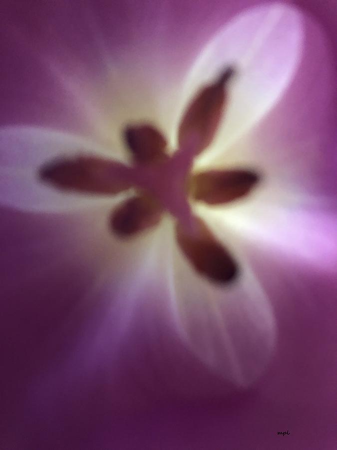 Summer Photograph - Macro Purple Tulip by Marian Lonzetta
