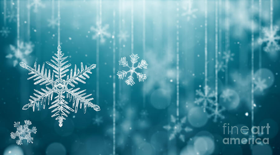 Seasonal Digital Art - Macro Snowflake And Fallen Defocused by Phive