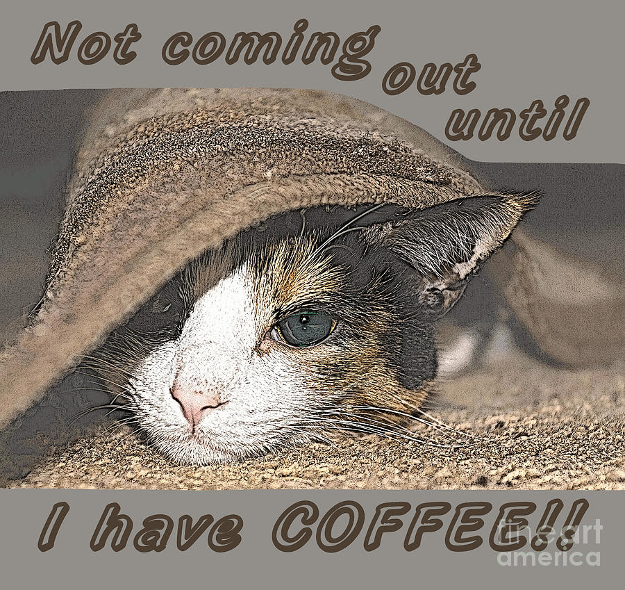 Macy Wants Coffee Too Photograph by Jennifer White