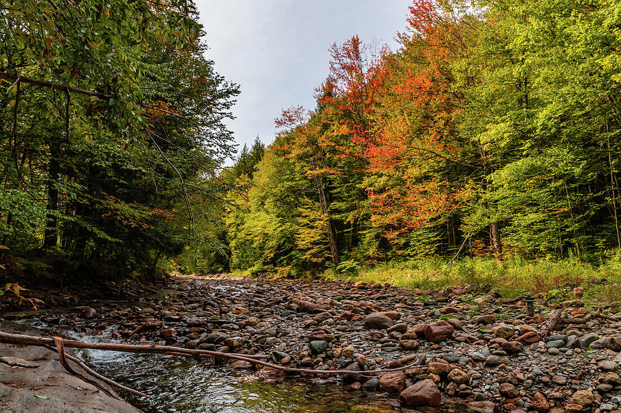 Mad River Autumn Colors Photograph by Chad Dikun