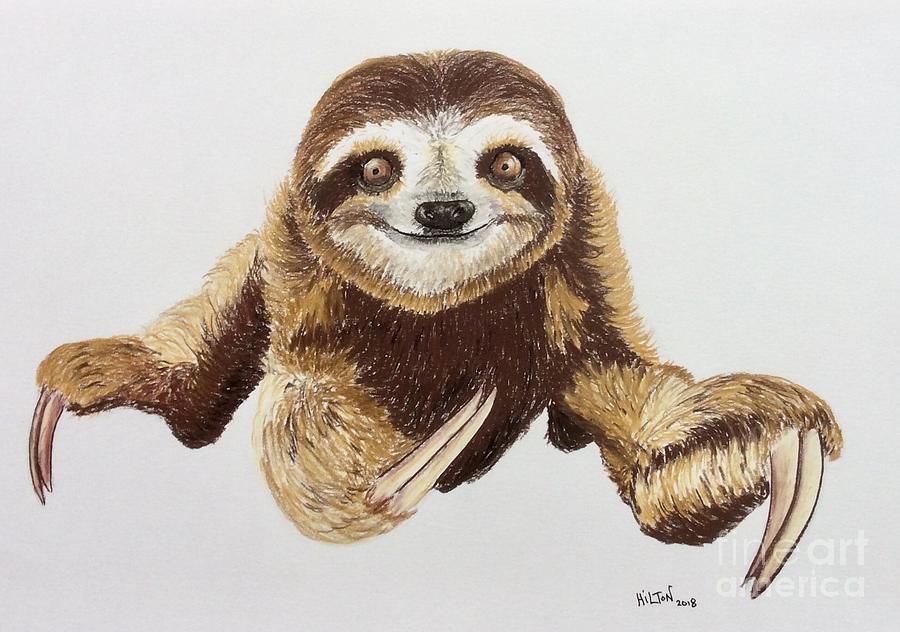 mad sloth