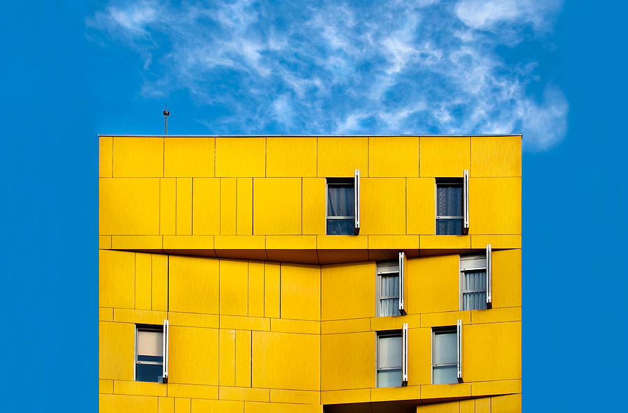 Mad Yellow Photograph by Carlos Pardo