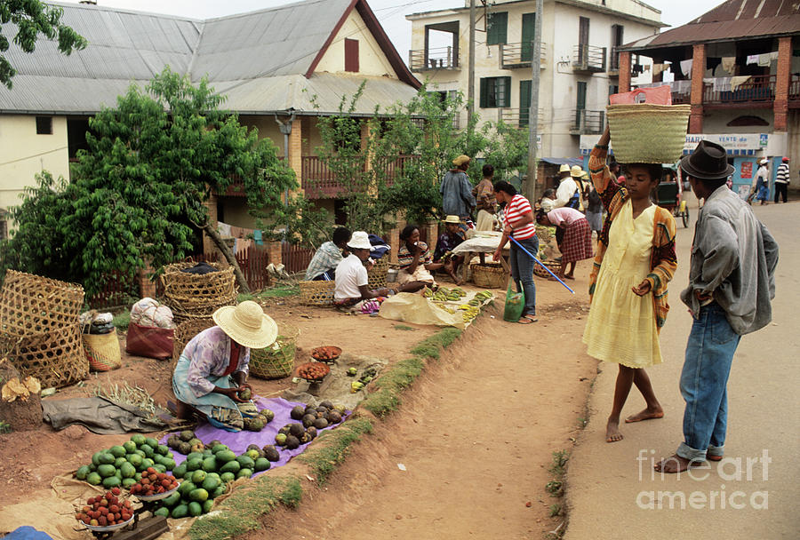 Madagascan Market Photograph by Sinclair Stammers/science Photo Library