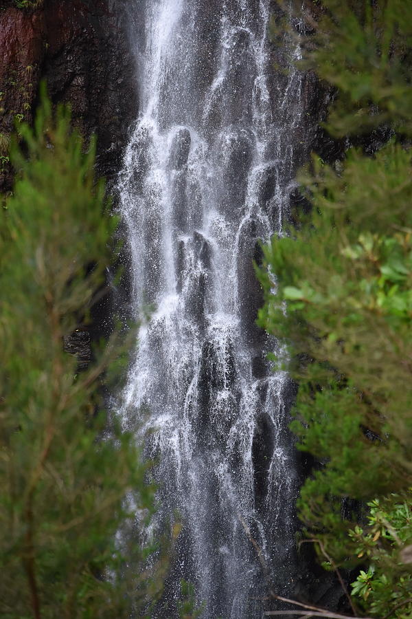 Madeira Falls Photograph by Ben Foster