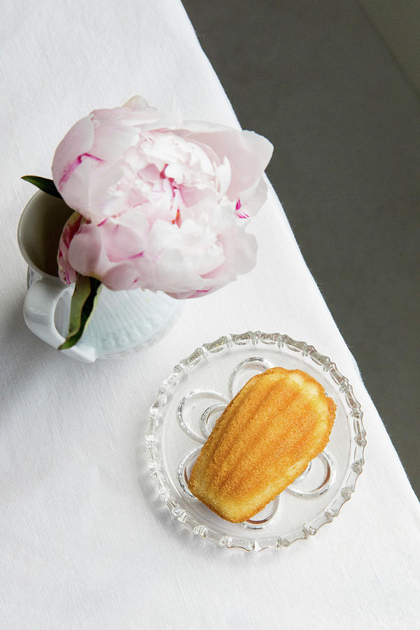 Madeleines And A Vase Of Peonies Photograph by Jennifer Braun