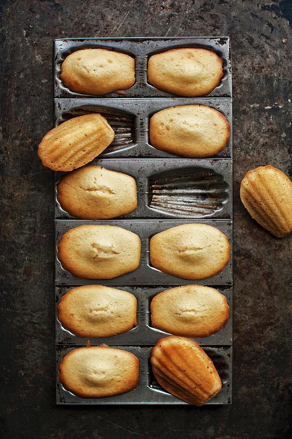 Madeleines In A Baking Tin seen From Above Photograph by Magdalena Hendey