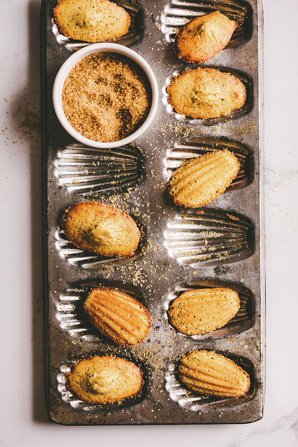 Madeleines With Demerara Sugar Photograph by The Kate Tin