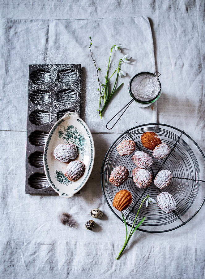 Madeleines With Icing Sugar For Easter Photograph by Carolin Strothe