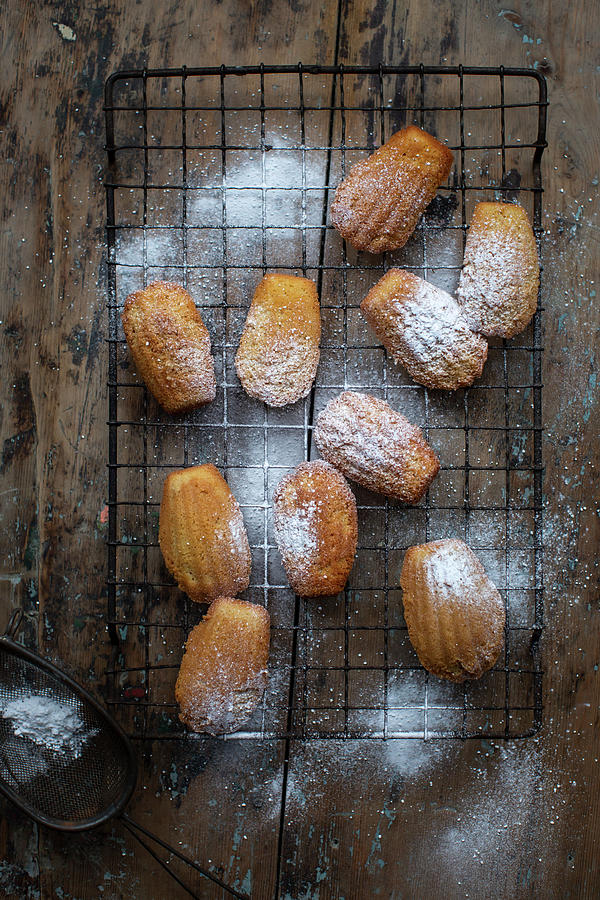 Madeleines With Icing Sugar On A Wire Rack Photograph by Lara Jane Thorpe