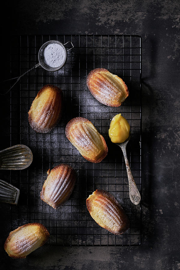 Madeleines With Lemon Curd And Icing Sugar, Dark Background Photograph by Arjan Smalen Photography