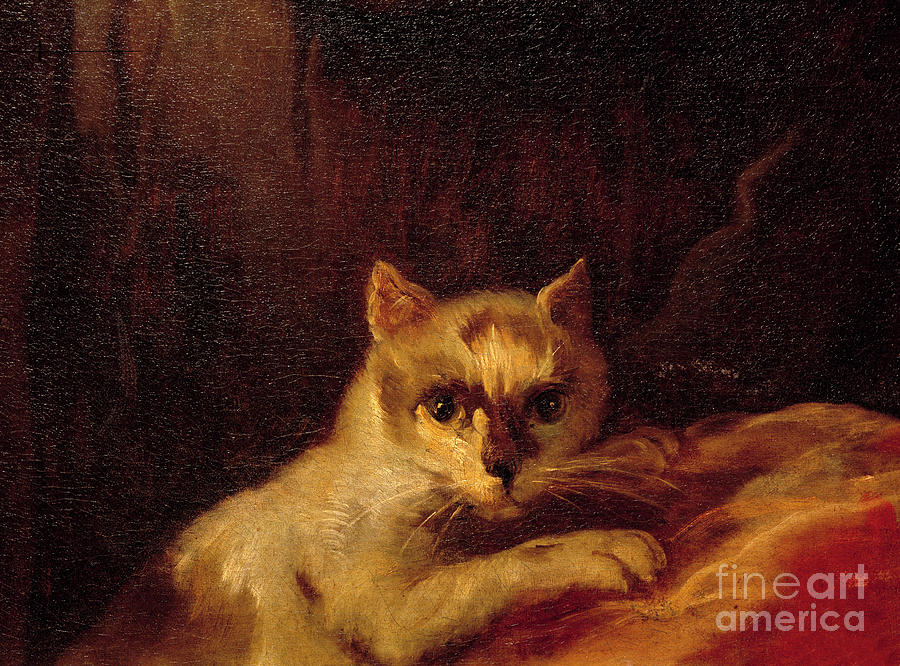 Animal Painting - Mademoiselle De Charolais Detail Representing The Cat by Charles Joseph Natoire