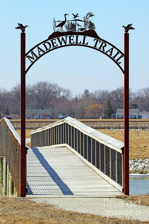 Madewell Trail at Howard Marsh Metropark 9651 Photograph by Jack Schultz