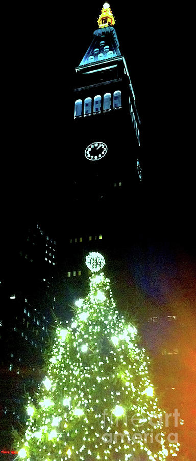 Madison Park Christmas Tree W/ Met Life Tower 1 Photograph
