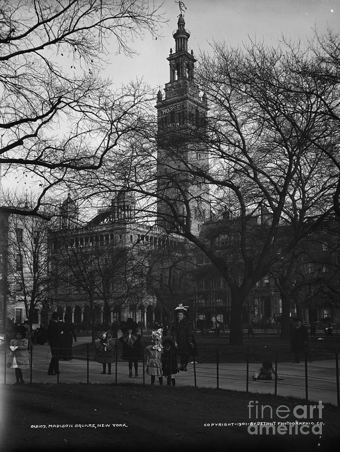 Madison Square, New York, C.1901 (b/w Photo) Photograph by Detroit Publishing Co