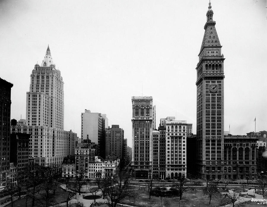 Madison Square Park Photograph by The New York Historical Society