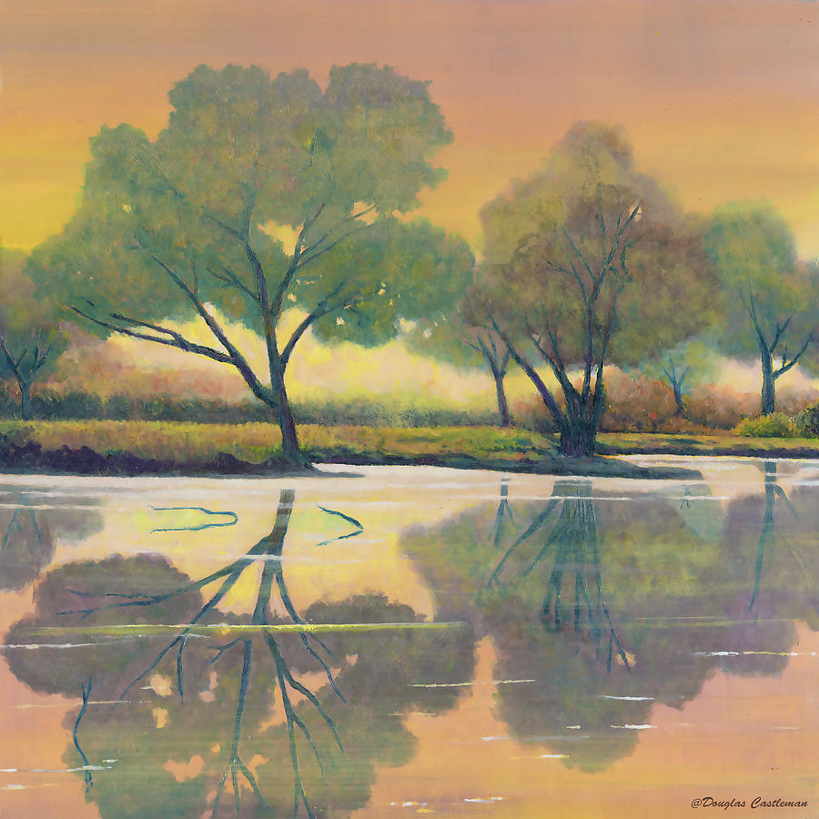 Tree Painting - Madrona Marsh Sunset Reflections by Douglas Castleman