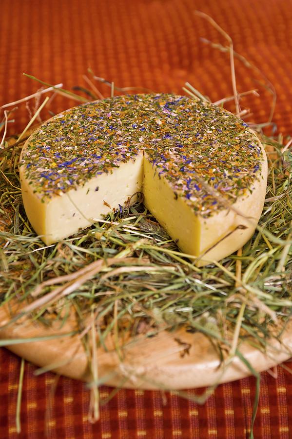 Magdalene Cheese From Salzburg On A Bed Of Hay Photograph by Rita Newman