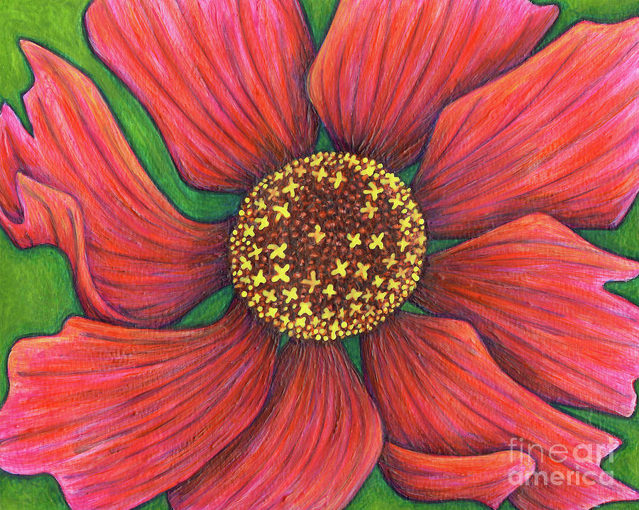 Magenta Coreopsis Painting by Amy E Fraser