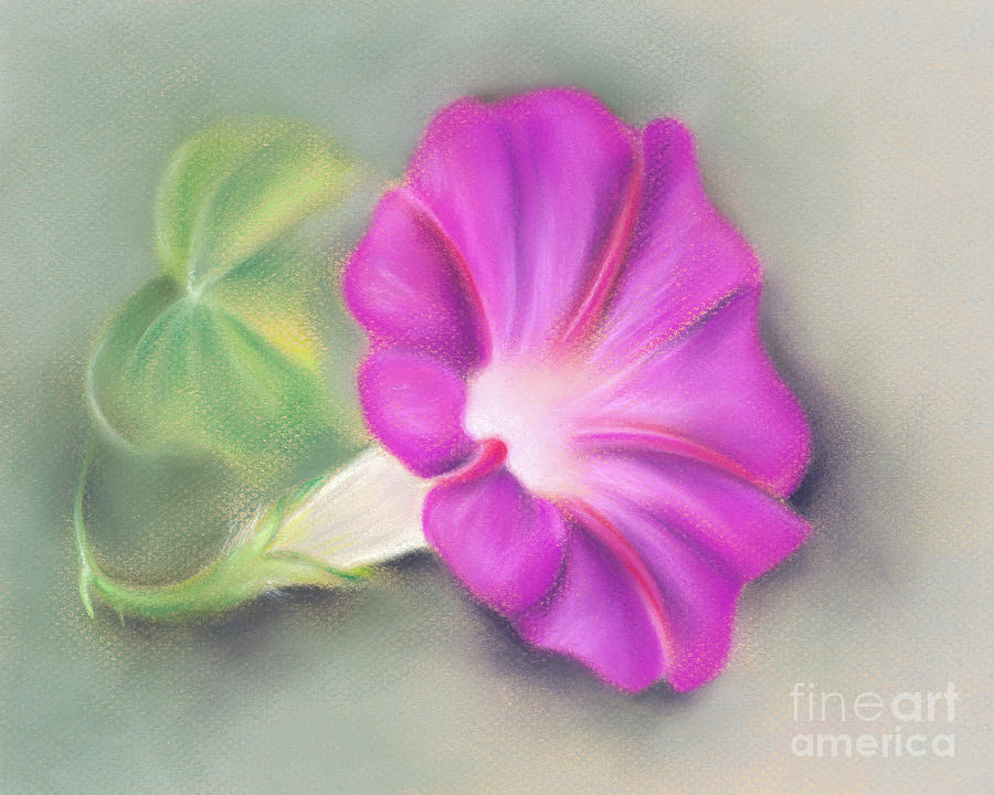 Magenta Morning Glory and Leaf Painting by MM Anderson