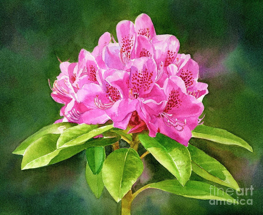 Flowers Still Life Painting - Magenta Rhododendron with Background by Sharon Freeman