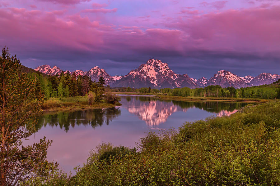 Magenta Sunrise  Oxbow Bend Photograph by Galloimages Online