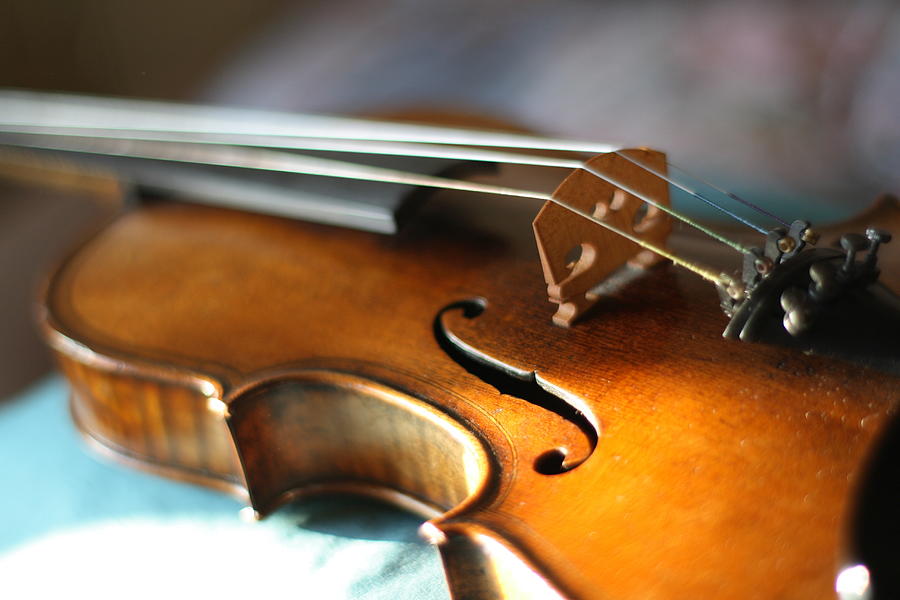 Magginis Violin With Beautiful Sound Photograph by Mayumi Hashi