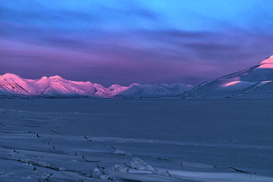Magic Artic by Kai Mueller Magic Artic by Kai Mueller
