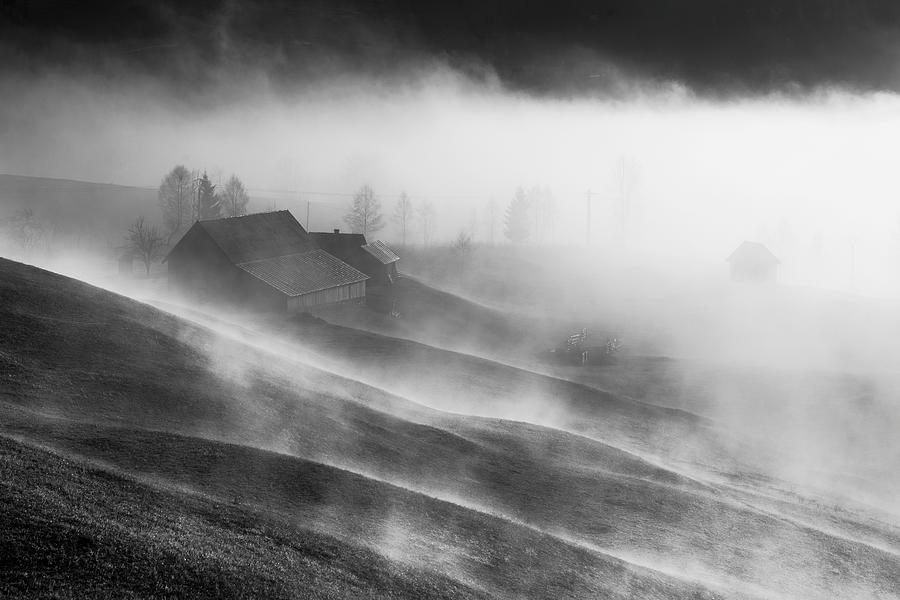 Black And White Photograph - Magic Morning by Sveduneac Dorin Lucian
