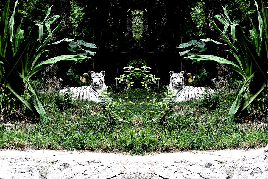 Magic Tiger-2 Digital Art by Anand Swaroop Manchiraju