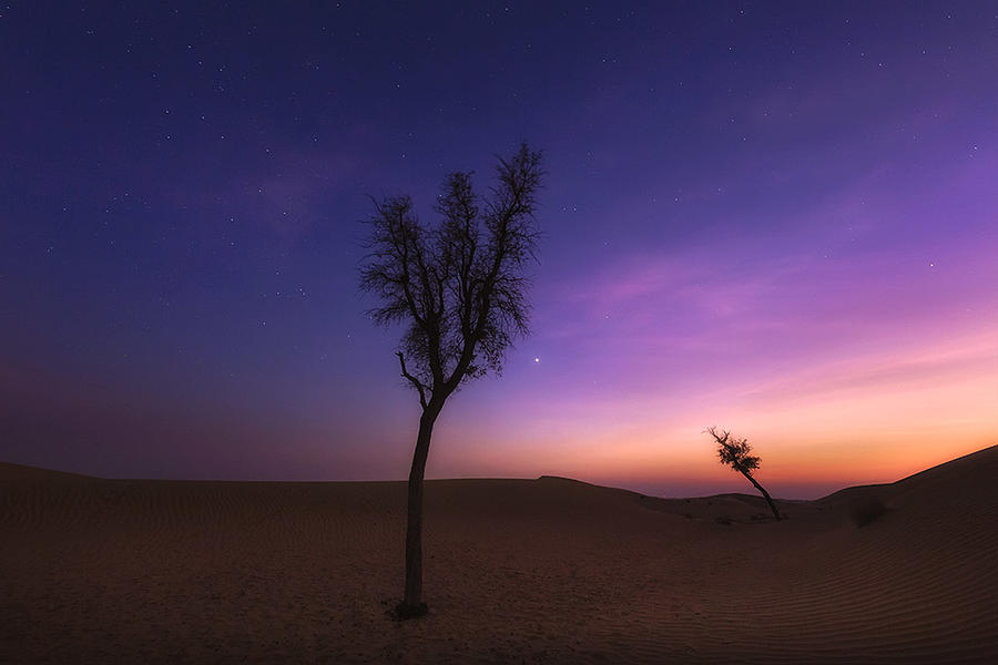 Magical Blue Hour In Desert Photograph by Souvik Banerjee
