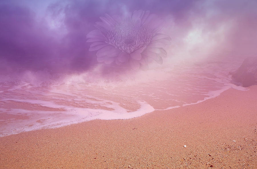 Magical Dust With Hazy Flower On Dreamland Beach  Photograph by Johanna Hurmerinta