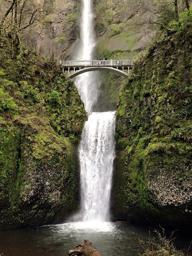 Magical Falls Photograph by Harvest Moon Photography By Cheryl Ellis ...