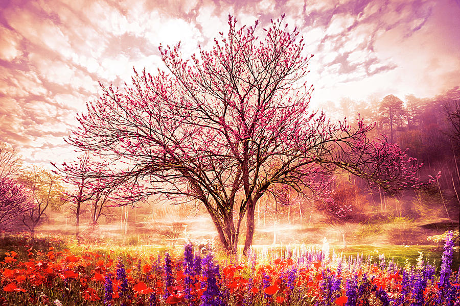 Magical Garden Painting Photograph by Debra and Dave Vanderlaan