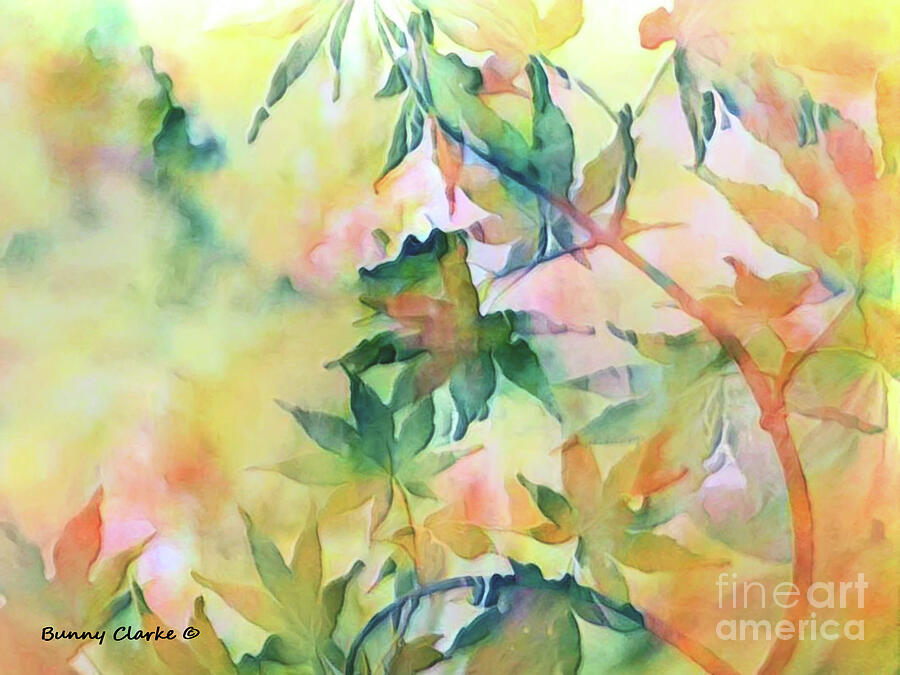 Tree Digital Art - Magical Maples by Bunny Clarke