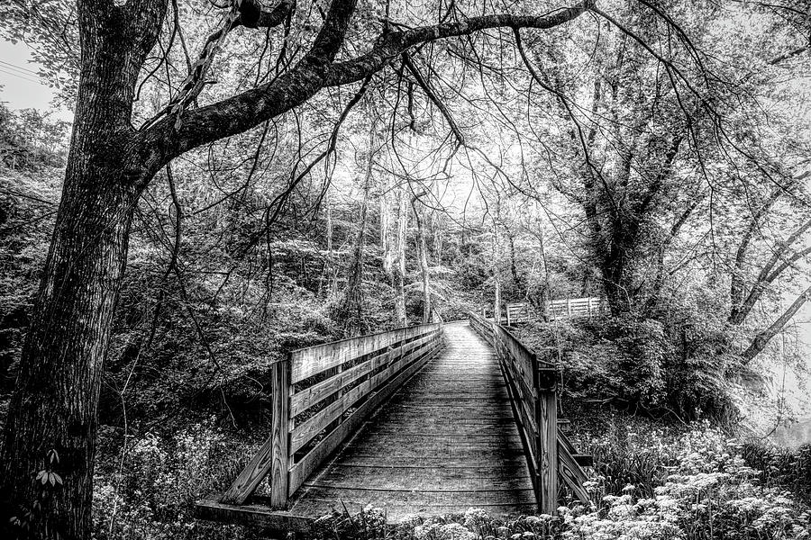 Magical Misty Morning in Black and White Photograph by Debra and Dave Vanderlaan